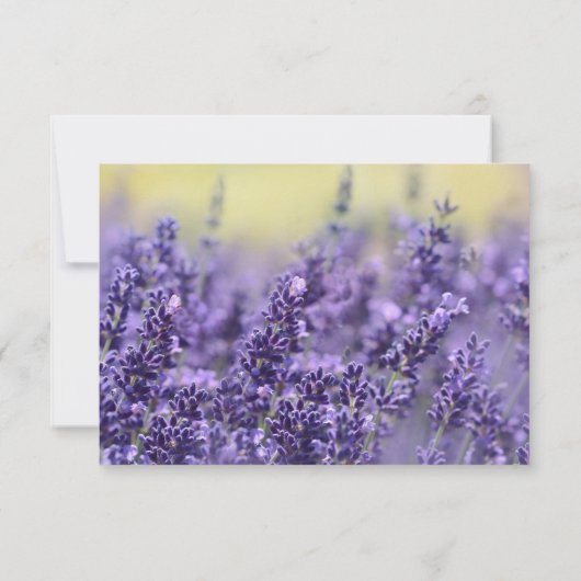 Lavender Funeral Hartelijk dank | Memorial Card Bedankkaart (Achterkant)
