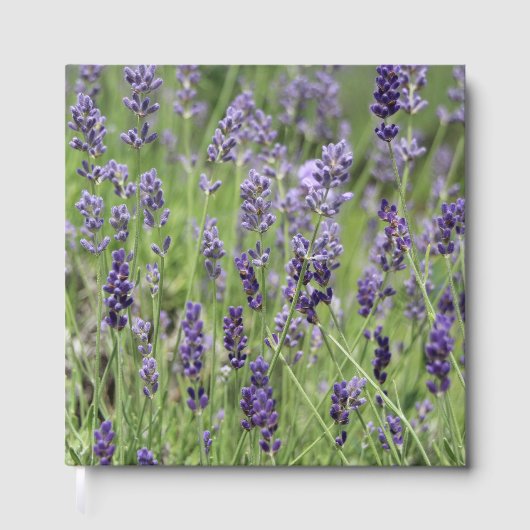 Lavender Gastenboek (Voorkant)