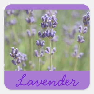 Lavender geïnspireerde stickers