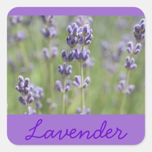 Lavender geïnspireerde stickers (Voorkant)