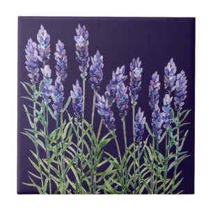 Lavender geschilderd met waterverven tegeltje