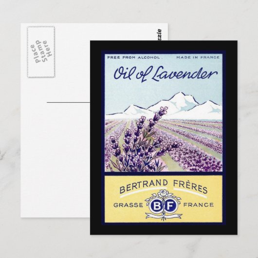 Lavender - Grasse Frankrijk Briefkaart (Voorkant / Achterkant)