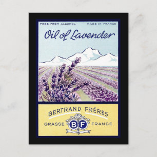 Lavender - Grasse Frankrijk Briefkaart