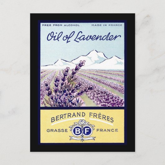 Lavender - Grasse Frankrijk Briefkaart (Voorkant)