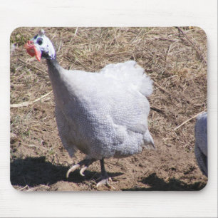 Lavender Guinee Fowl Muismat