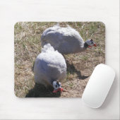 Lavender Guinee Fowls Muismat (Met muis)
