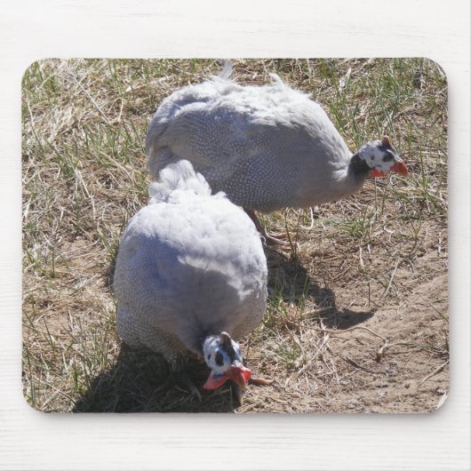 Lavender Guinee Fowls Muismat (Voorkant)