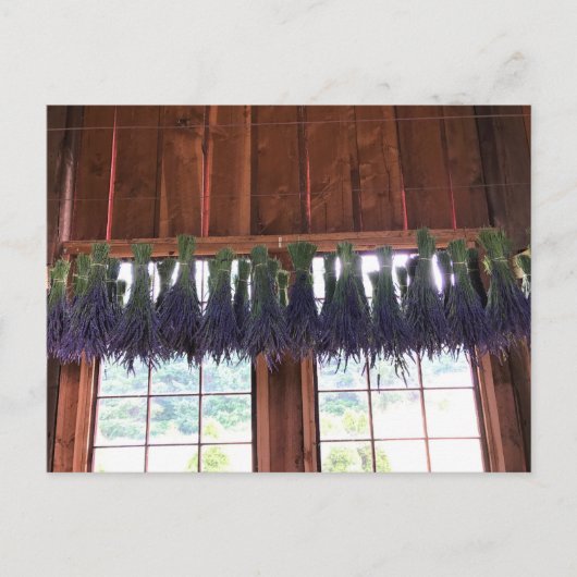 Lavender Hanging in een Barn Briefkaart (Voorkant)