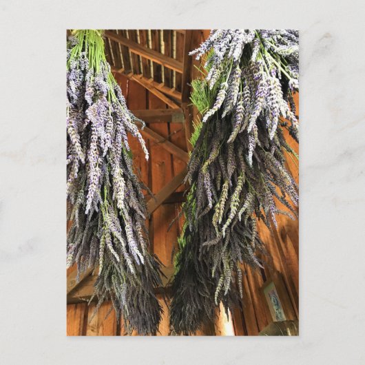 Lavender Hanging in een Barn Briefkaart (Voorkant)