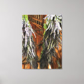 Lavender Hanging in een Barn Canvas Afdruk (Voorkant)