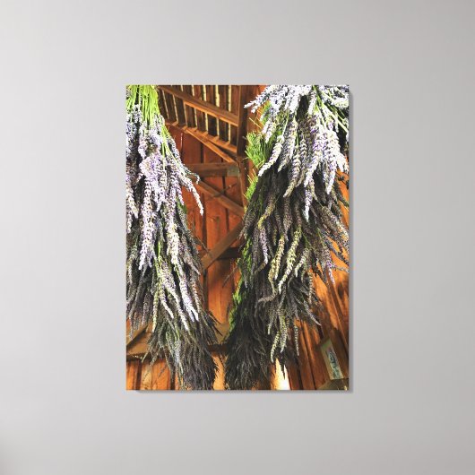 Lavender Hanging in een Barn Canvas Afdruk (Voorkant)
