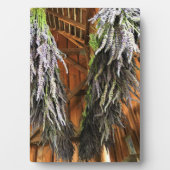 Lavender Hanging in een Barn Fotoplaat (voorkant)