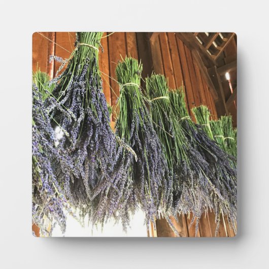 Lavender Hanging in een Barn Fotoplaat (Voorkant)