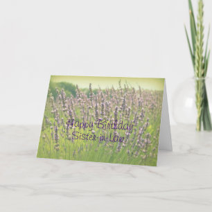 Lavender Happy Birthday Zuster-in-Law Card Kaart