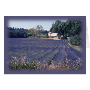 Lavender Haze Blank Art Card