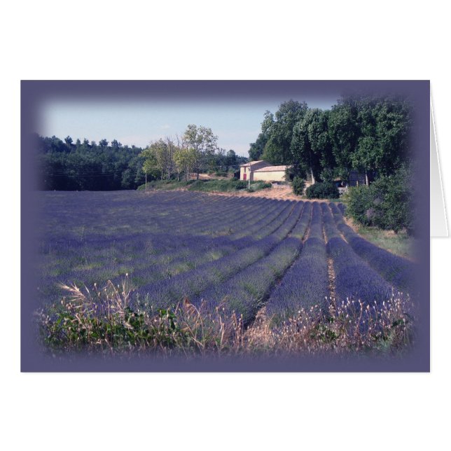 Lavender Haze Blank Art Card (Voorkant Horizontaal)