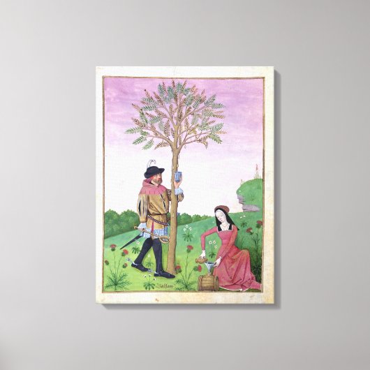Lavender, Hellebore & relatief van komkommer Canvas Afdruk (Voorkant)