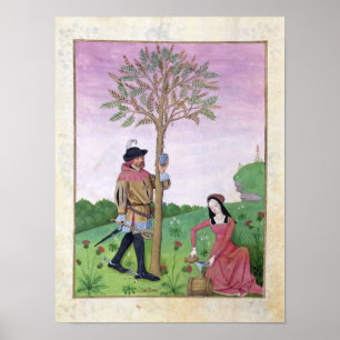 Lavender, Hellebore & relatief van komkommer Poster