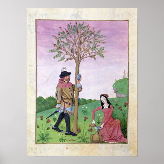 Lavender, Hellebore & relatief van komkommer Poster (Voorkant)
