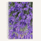 Lavender Herb Blooms Floral Notitieboek (Voorkant)