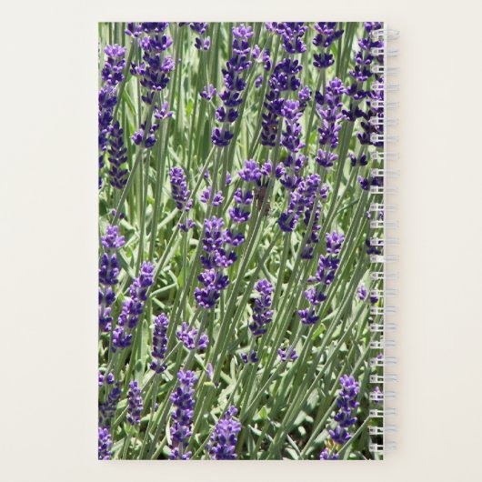 Lavender Herb Flowers Floral Notitieboek (Achterkant)