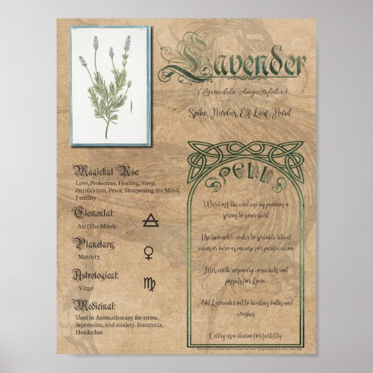 Lavender Herbal Book of Shadows Pagan Wiccan Poster (Voorkant)