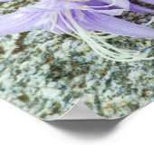 lavender hosta bloemen in vol bloei poster (Hoek)