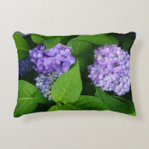 Lavender Hydrangea