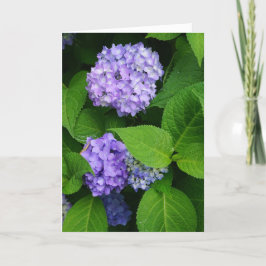 Lavender Hydrangea Bedankkaart