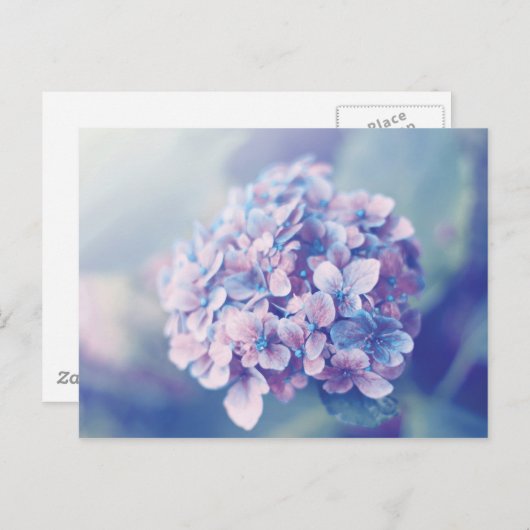 Lavender Hydrangea Briefkaart (Voorkant / Achterkant)