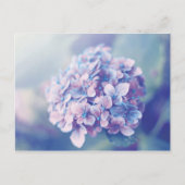 Lavender Hydrangea Briefkaart (Voorkant)