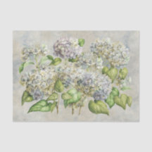  lavender Hydrangea Floral over grijs 