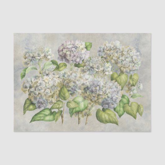 lavender Hydrangea Floral over grijs Tissuepapier (Voorkant)
