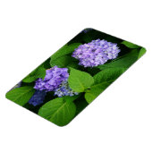 Lavender Hydrangea Magneet (Linkerzijde)
