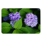 Lavender Hydrangea Magneet (Horizontaal)