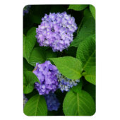 Lavender Hydrangea Magneet (Verticaal)