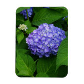 Lavender Hydrangea Magneet (Verticaal)