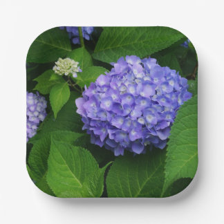 Lavender Hydrangea Papieren Bordje