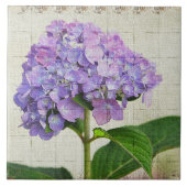 Lavender Hydrangea Tegel Tegeltje (Voorkant)