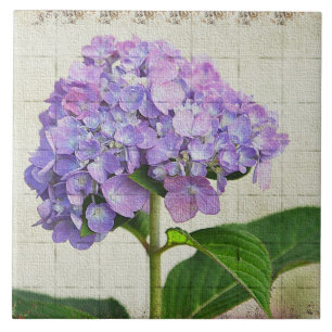 Lavender Hydrangea Tegel Tegeltje