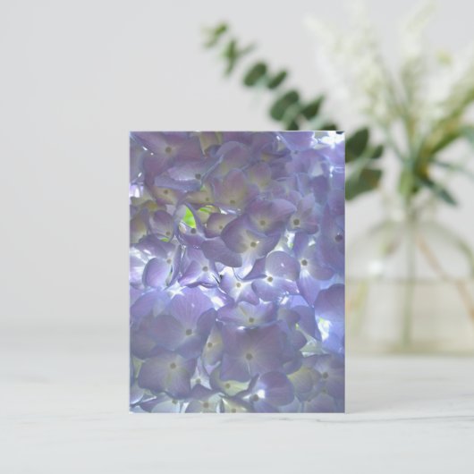Lavender Hydrangeas Briefkaart (Staand voorkant)