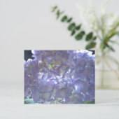Lavender Hydrangeas Briefkaart (Staand voorkant)
