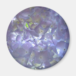 Lavender Hydrangeas Magneet