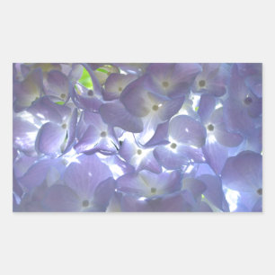 Lavender Hydrangeas Rechthoekige Sticker