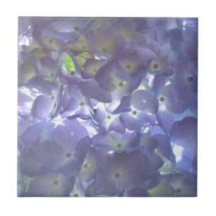 Lavender Hydrangeas Tegeltje