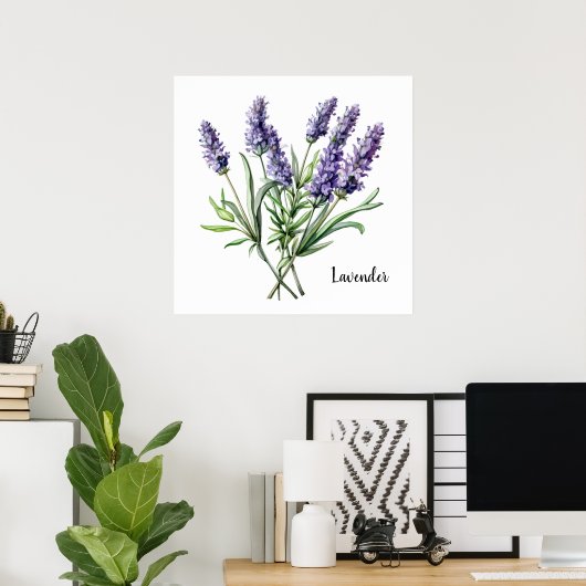 Lavender Illustration Botanical Poster (Thuiskantoor)