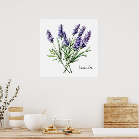 Lavender Illustration Botanical Poster (Keuken)