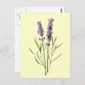 Lavender Illustration Vintage Briefkaart (Voorkant / Achterkant)