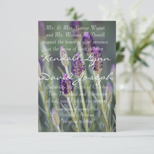 Lavender in Bloom Kaart (Staand voorkant)