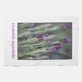 Lavender in Bloom Theedoek